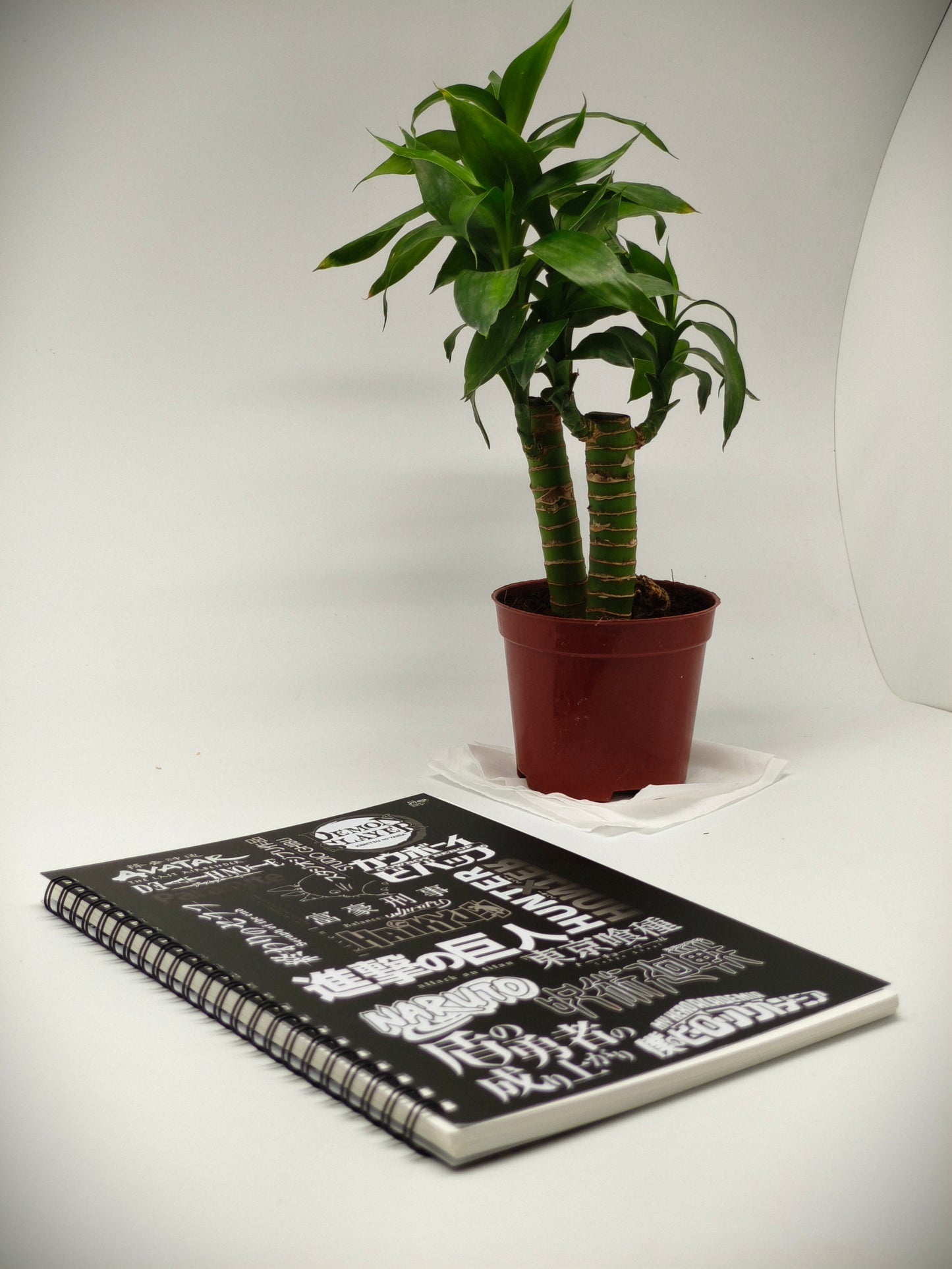 Anime Inspired A5 Spiral Notebook! - Write Bold, Live Anime