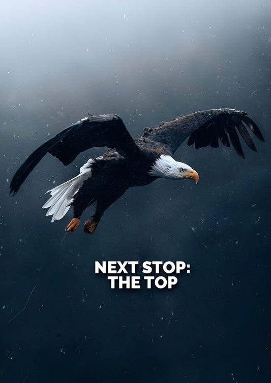 Soar With Purpose |Next Stop: The Top