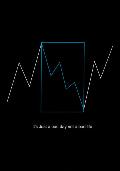 “Just a Bad Day” – Resilience Curve