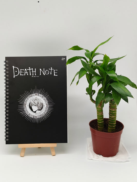 The Death Note A5 Spiral Notebook Awaits You!
